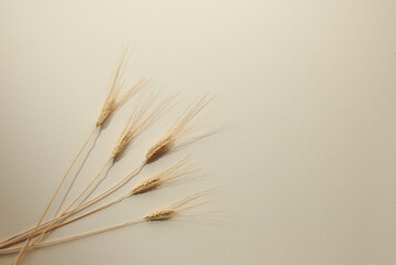 Obraz premium Flatlay minimal natural beige background with empty space. Template for branding and product presentation. Still life photo, table with dry grain