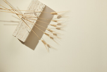 Flatlay minimal natural beige background with empty space. Template for branding and product presentation. Still life photo, table with travertino stone and dry grain