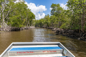 Propellerboot Fahrt durch die Mangroven der Florida Everglades