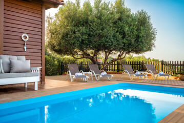 Sunbathing area by the pool with loungers in shade under the tree.