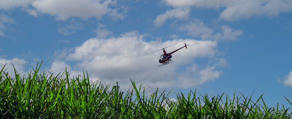 helicopter spraying sugar cane © derren