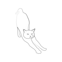 the cat is stretching in abstract hand drawn style, minimalist one line drawing