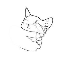 female hand scratching the chin of a kitten. Minimalist cat in abstract hand drawn style, minimalist one line drawing