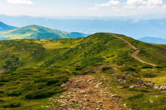 path through ridge of carpathian national park. mountain landscape of ukraine, europe in summer. beautiful outdoor scenery. domestic tourism and hiking concept. grassy hills and meadows on a sunny day