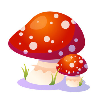 Bright vector illustration of fly agaric mushroom for your designs. Cute juicy style 