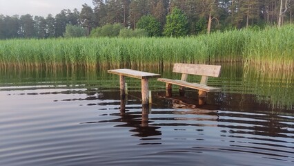 lake in the forest