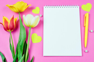 Yellow, red and white tulips, a blank page of a notebook (sketchbook) for writing or drawing, a pen and paper hearts on a bright pink background. Space for the text. The concept of a holiday or art.
