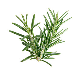 Rosemary isolated on white