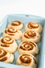 Cinnamon rolls
