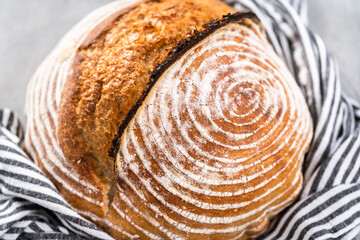 Wheat Sourdough Bread