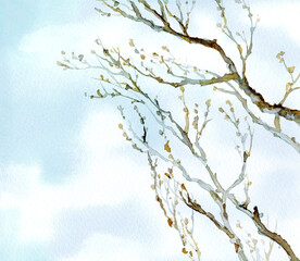 Watercolor landscape. Old bare tree