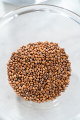 Growing sprouts in a jar