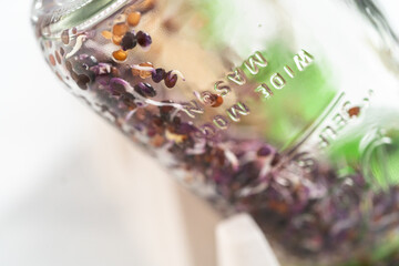 Growing sprouts in a jar