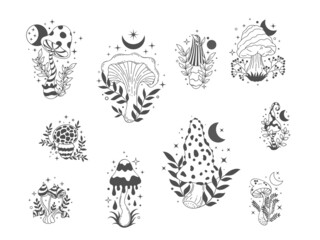 Fototapeta premium Boho mushrooms. Mystic forest toadstool and amanita, floral and celestial esoteric decorative elements. Vector fungi magic set