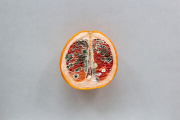 The concept of vaginal disease: venereal diseases, Vaginal yeast infection, Syphilis. Orange with...