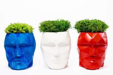 sterilized Icelandic moss in a concrete jug in the form of a head on a white background
