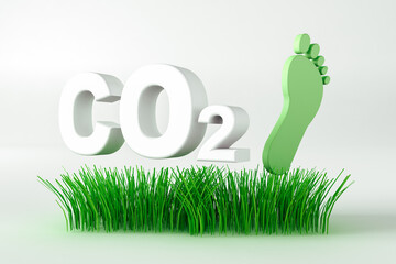 Carbon footprint surrounded by grasses