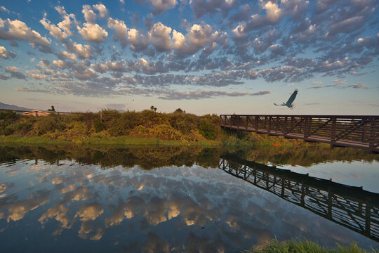 Carpinteria bird refuge with winter weather