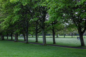 Fototapeta na wymiar Green park for walking in Edinburgh