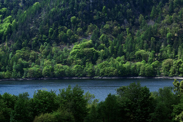 Fototapeta na wymiar Beautiful lake among trees and hills