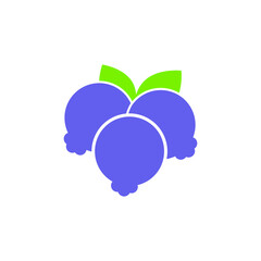 Blueberry vector icon set. Fruit illustration sign collection. vitamins symbol. veganism logo.