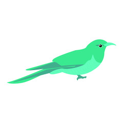 Сute little colorful bird isolated on a white background. Design for home decoration, wall art, social media post and story background vector illustrator. colorful hand drawn vector. Elements.
