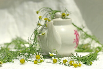 Obraz na płótnie Canvas white porcelain teapot on a background of chamomile flowers on a white background