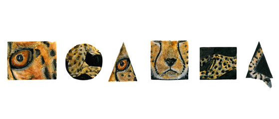 Watercolor collection of face and fur of a cheetah in square, triangle and circle geometric shapes on a white background isolated for your design, hand drawn illustration