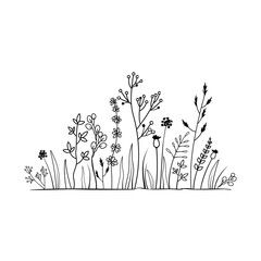 Vector line art. Floral and natural themes. Black sketch of grass. Monochrome floral pattern. Theme of nature and botany. Vector illustration design