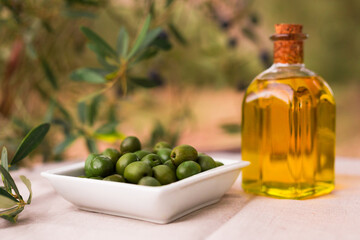 green ripe olives, olive oil in a glass traditional bottle on a table in an olive garden