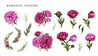 decorative elements, pink flower, peony branch. hand-drawn doodles in a realistic style. modern decor details for decoration, Wallpaper, isolated on a white background.