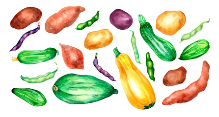 Set of variety of vegetables watercolor illustration isolated