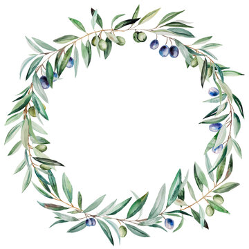Watercolor wreath made of olive branches with blue and green fruits and leaves illustration