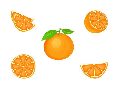 A set of images of an orange. Vector illustration