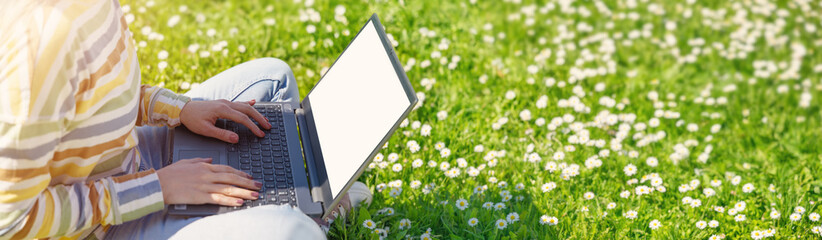 Woman sitting on the meadow of daisies and working on the laptop