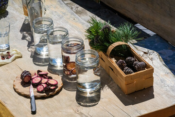 ripe sliced cones from the swiss stone pine for a delicious liquor a austrian speciality