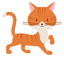 Walking kitten. Red fur cat. Ginger pet