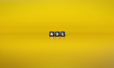 Acronym ‘ASL’ spelled out in white text on dark wooden blocks against plain yellow background. 3D rendering