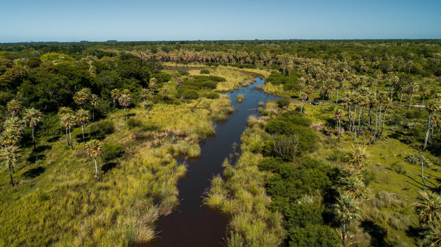 Naturaleza Chaque&ntilde;a - Reserva Monte Constanza