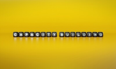 Words ‘Capacity building’ spelled out in white text on dark wooden blocks against plain yellow background. 3D rendering