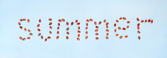 Phrase 'Summer' from watermelon seeds on blue background. Summer, summertime, vacation concept.