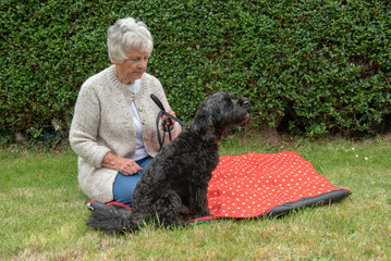Female senior woman sitting on red picnic blanket with black cockapoo puppy outdoors in garden