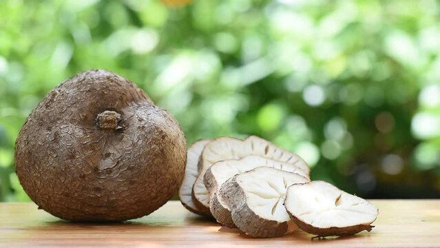 Pueraria mirifica head and slices on nature background.