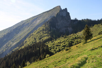Frühling im Salzkammergut; Blick von der Vormaueralm zum Schafberg
