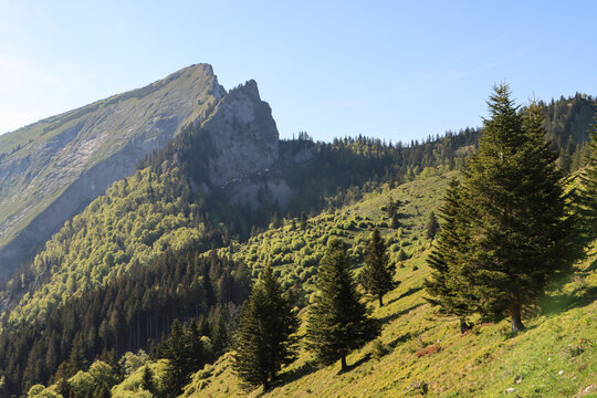 Wanderparadies Salzkammergut; Blick von der Vormaueralm zum Schafberg
