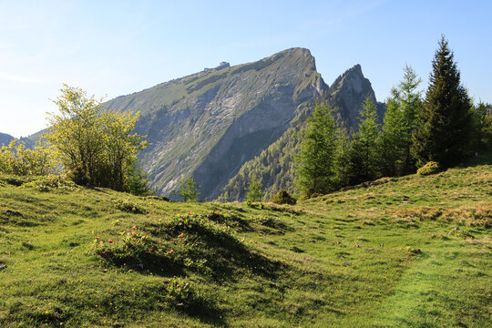 Wanderparadies Salzkammergut; Blick von der Vormaueralm zum Schafberg
