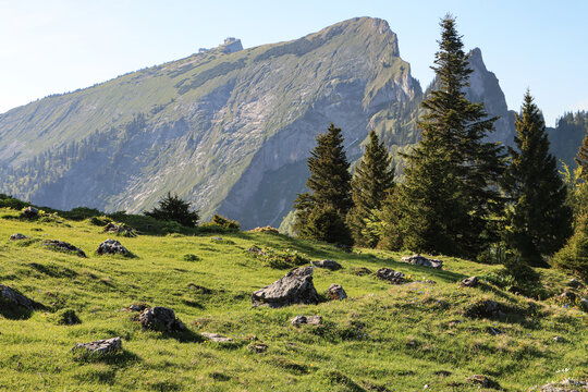 Wanderparadies Salzkammergut; Blick von der Vormaueralm zum Schafberg