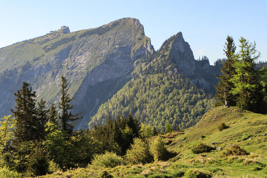 Fr&uuml;hling im Salzkammergut; Blick von der Vormaueralm zum Schafberg