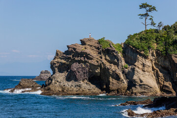 Fototapeta na wymiar 初夏の西伊豆ジオパーク浮島海岸の断崖