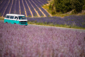 bus on the road